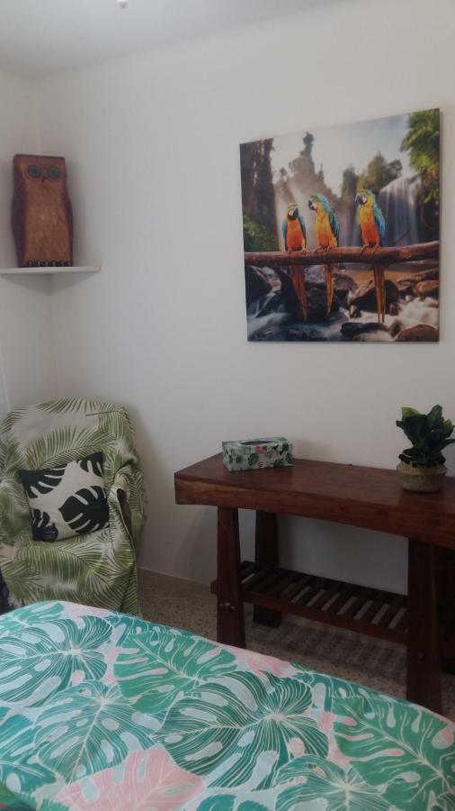 Appartement F3 Valescure Saint-Raphaël Dış mekan fotoğraf